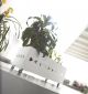 Sales Online Iris Flower Box Solid Oak American Walnut Structure with Plexiglass by Linfa Design.