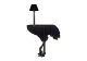 Diva Lucia Ostrich Shape Console Laminated Structure by Ibride Buy Online